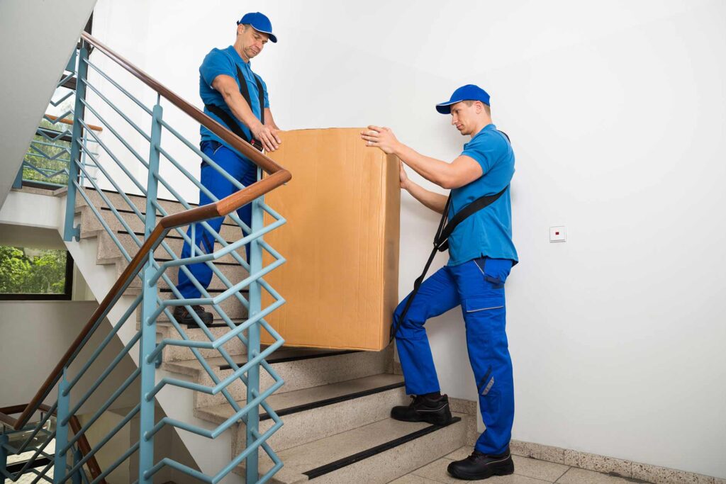 Moveco 30 1024x683