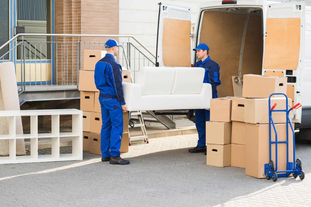 Moveco 37 1024x683