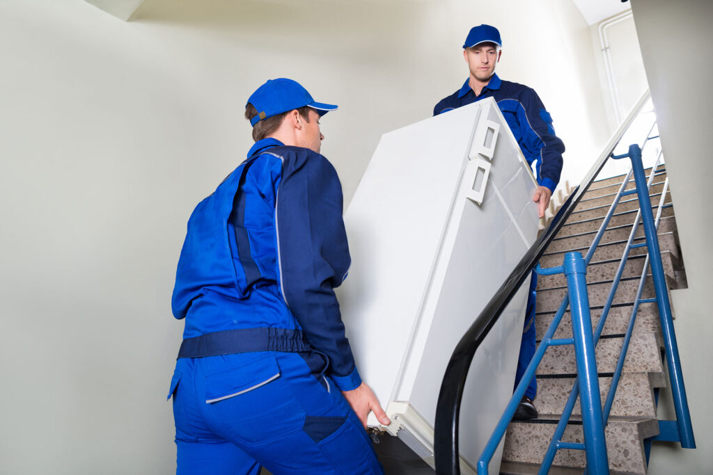 Moveco 38 1024x683